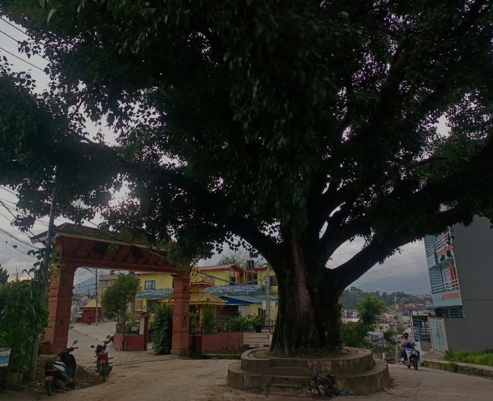Hamro Manakamana
