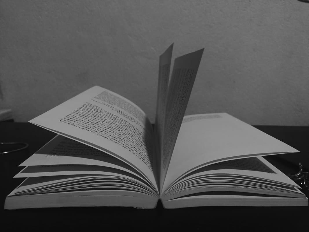 A Guide to Literary Stealing