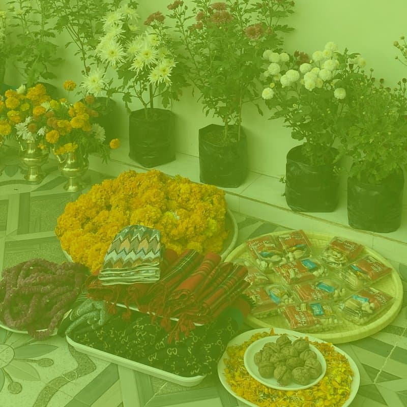 Tika, Tapari and a Tiny Rant