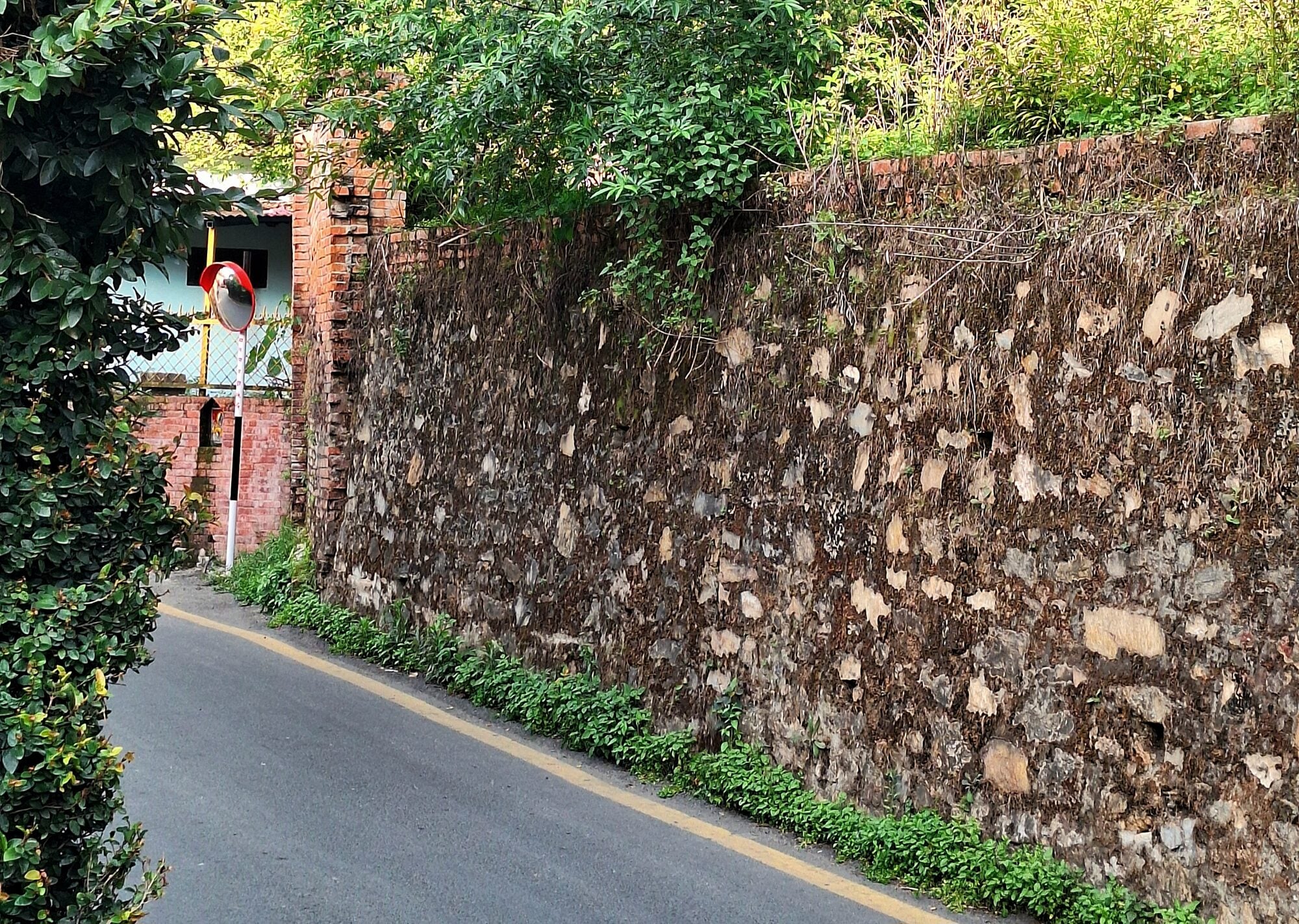 Tall Wall on All Four Sides