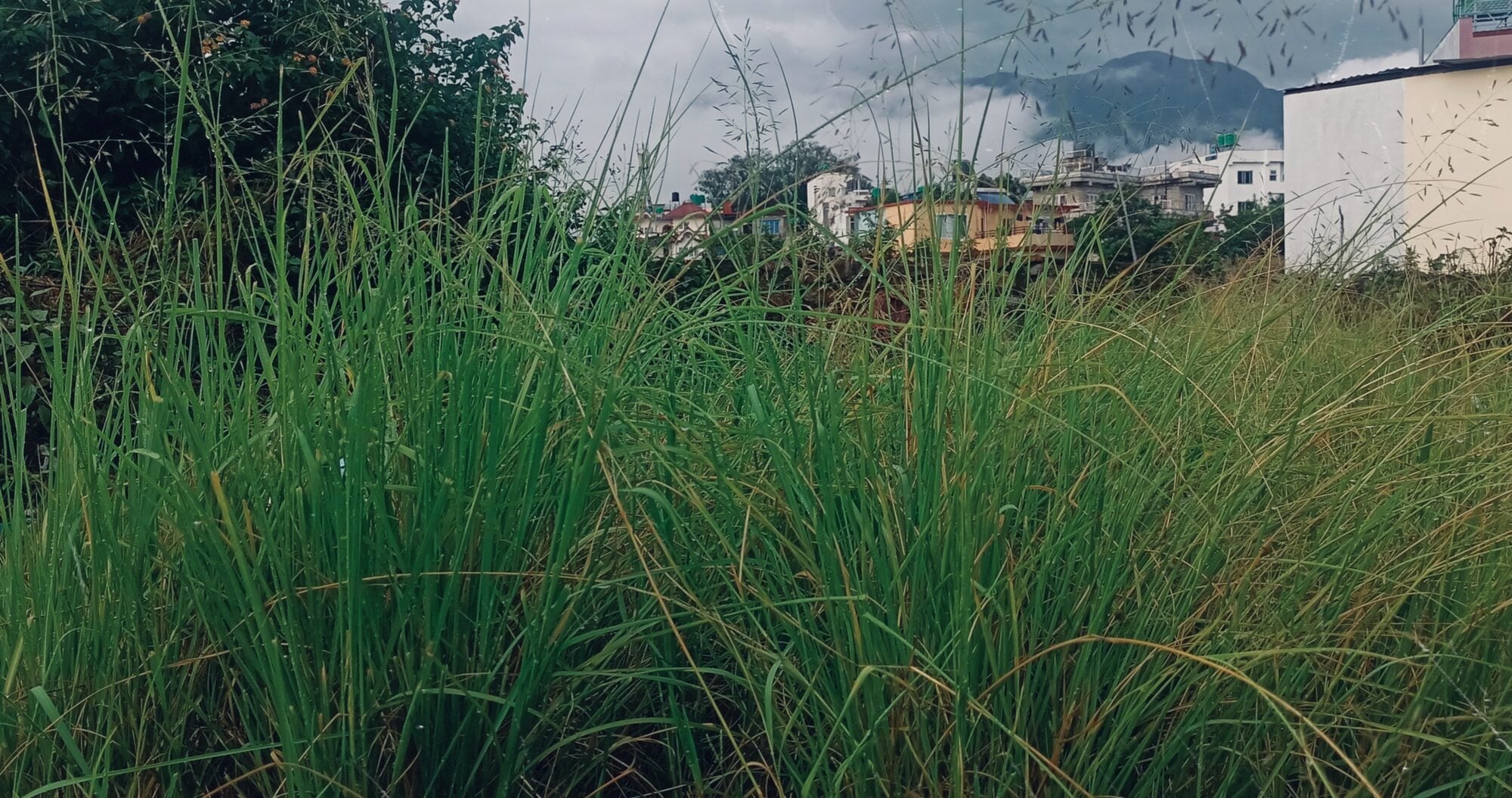 What Remains Amidst Ruins of Concrete