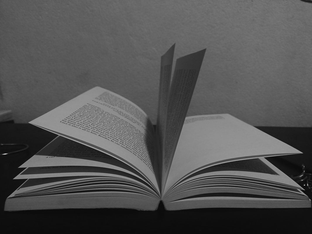 A Guide to Literary Stealing