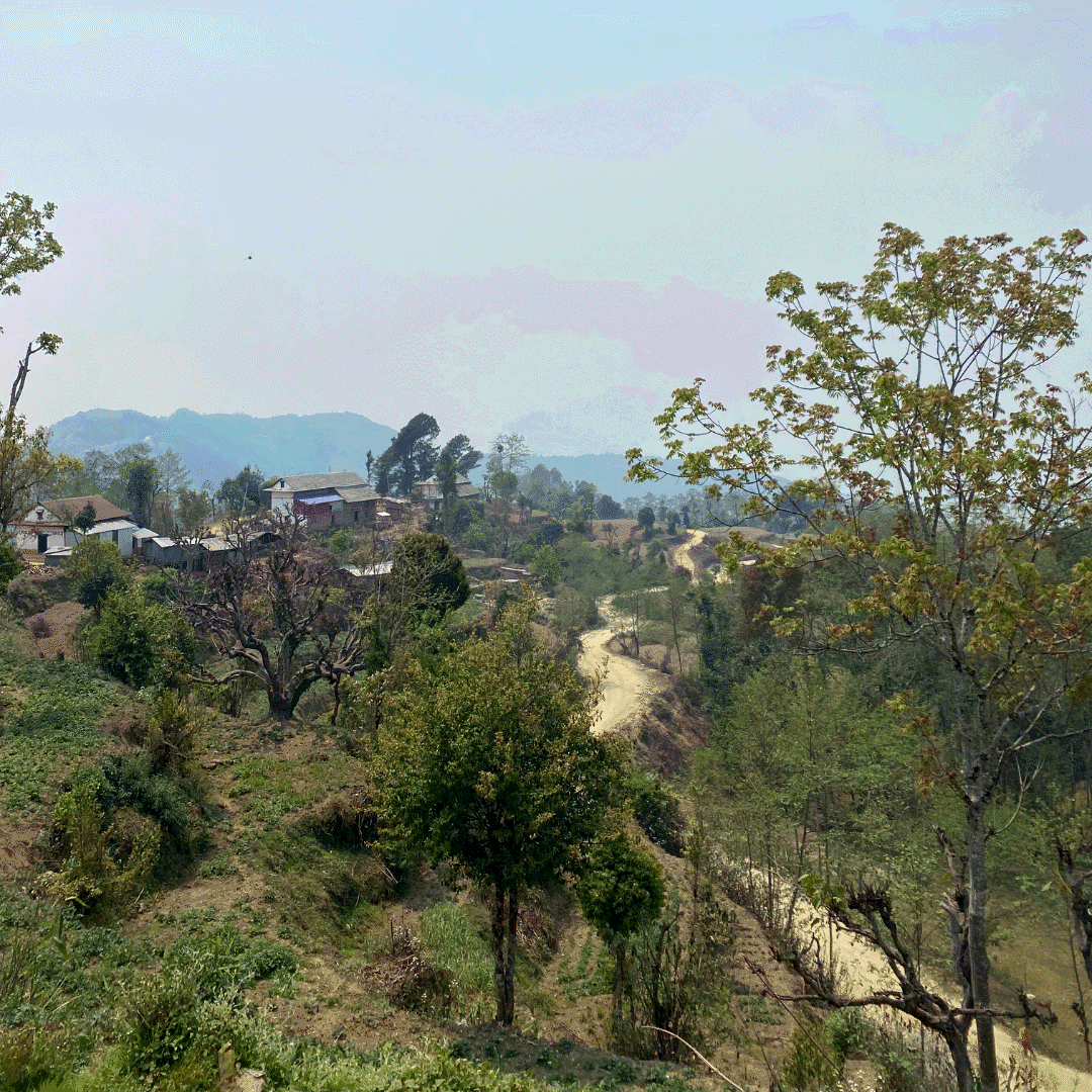 What Makes Your Village a Village?