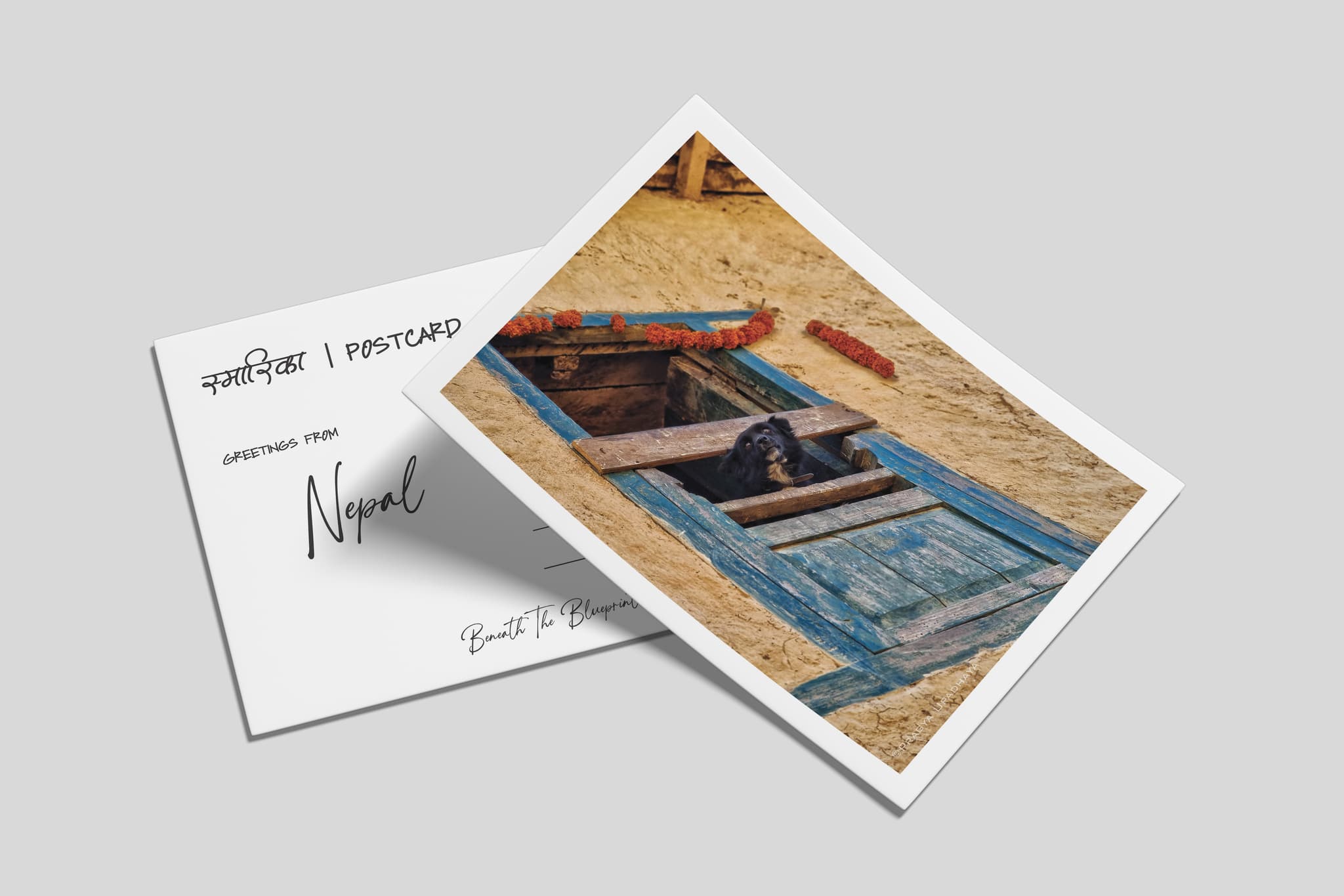 Postcards (A6 Size) — image 5